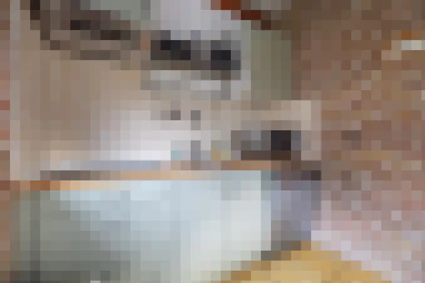 Oostmahorn 128 Eanjum thumbnail 16