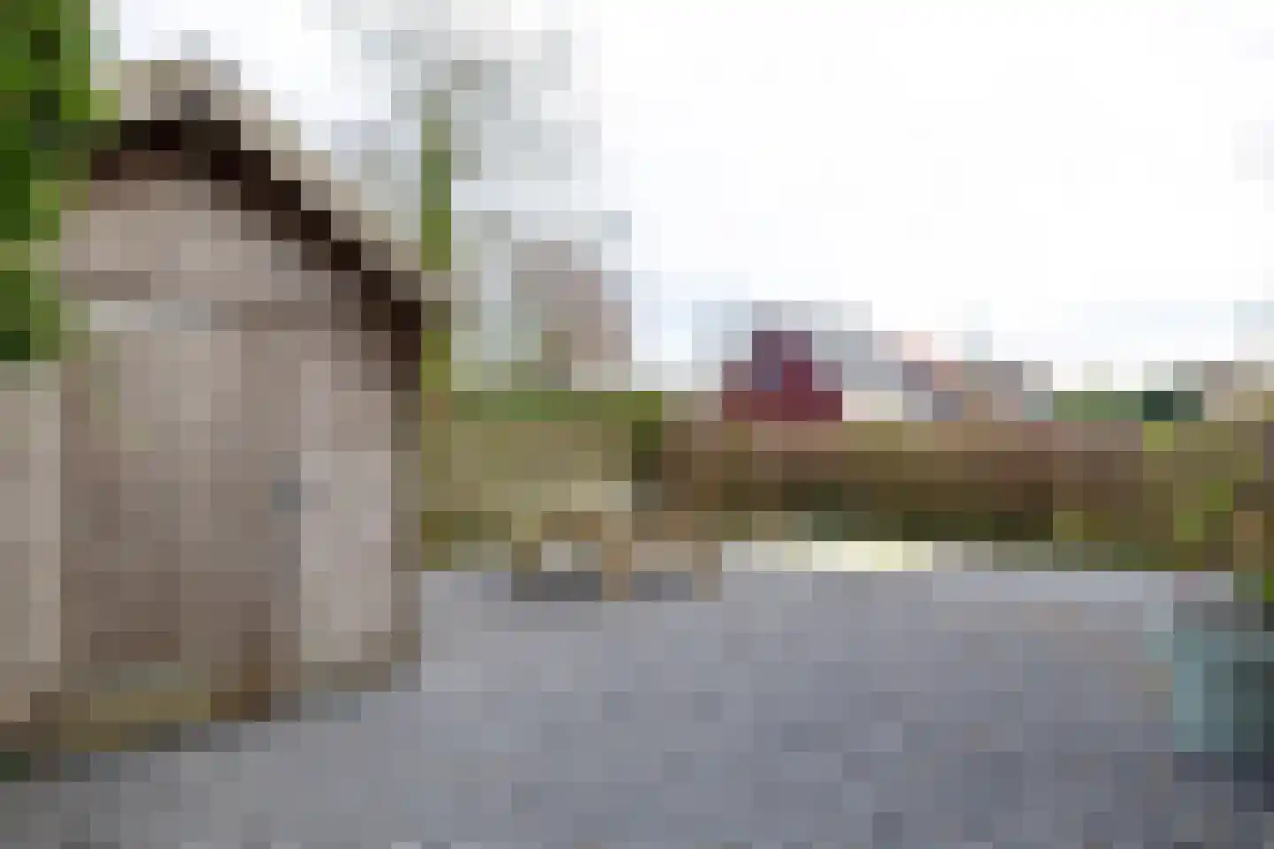Oostmahorn 128 Eanjum thumbnail 4