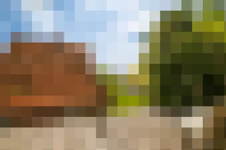 Oostmahorn 13 Eanjum thumbnail 15