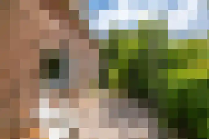 Oostmahorn 13 Eanjum thumbnail 18