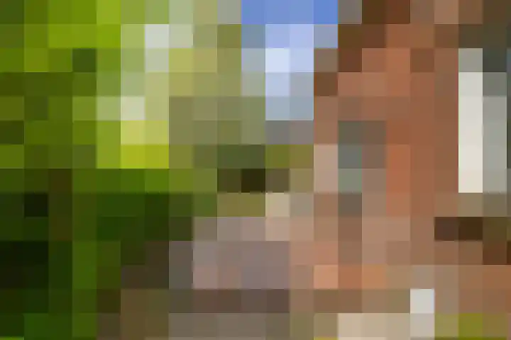 Oostmahorn 13 Eanjum thumbnail 19