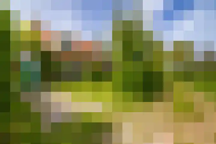 Oostmahorn 13 Eanjum thumbnail 20