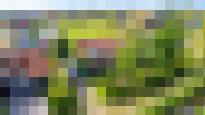 Oostmahorn 13 Eanjum thumbnail 27