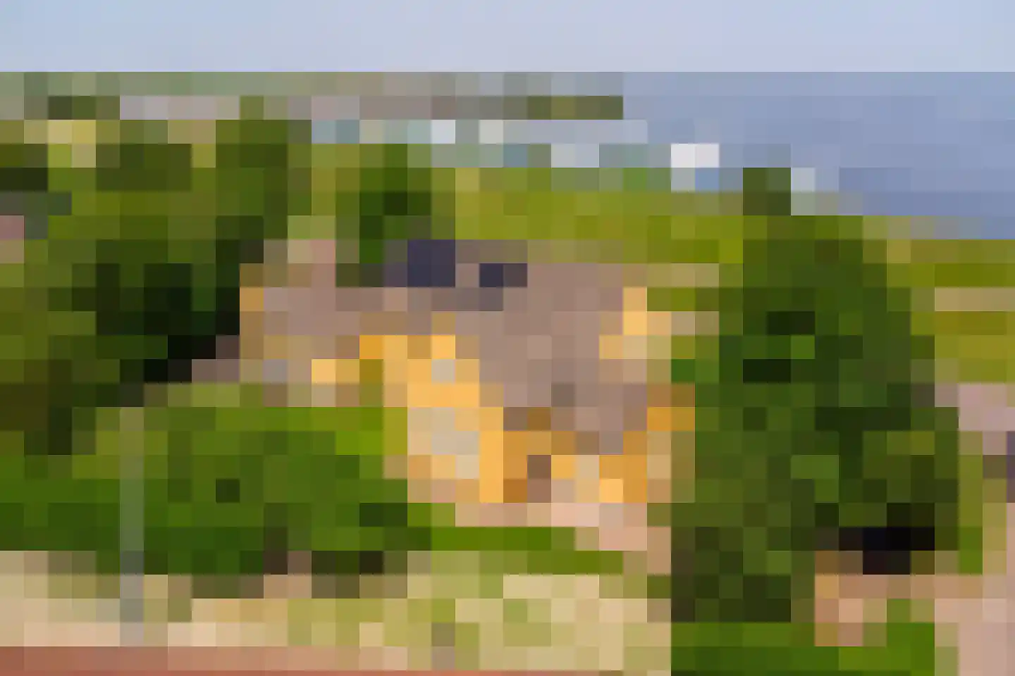 Oostmahorn 15 Eanjum thumbnail 5