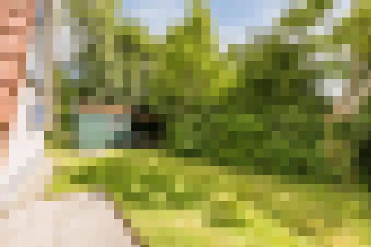 Oostmahorn 174 Eanjum thumbnail 32