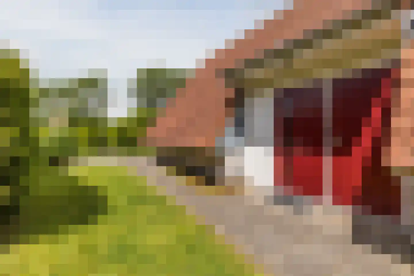 Oostmahorn 174 Eanjum thumbnail 6