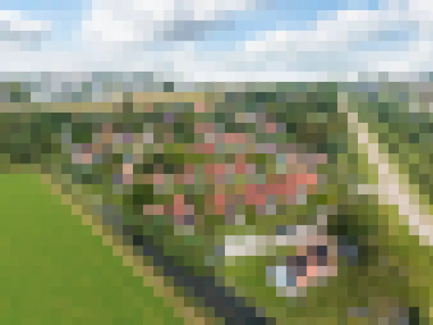 Oostmahorn 190 Eanjum thumbnail 5