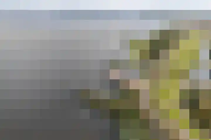 Oostmahorn 29 A Eanjum thumbnail 10