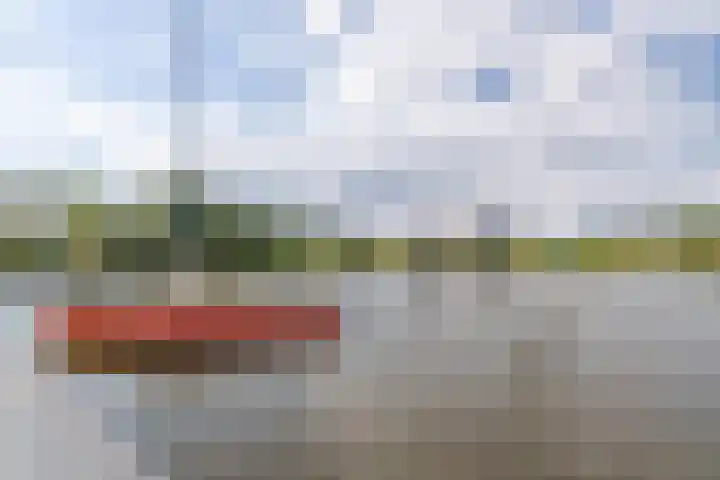 Oostmahorn 29 A Eanjum thumbnail 18