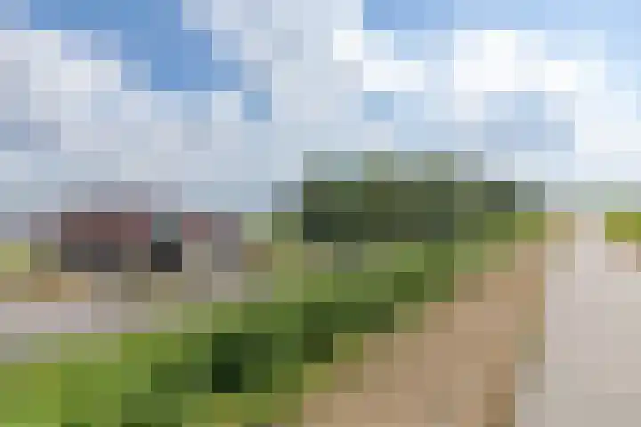 Oostmahorn 29 A Eanjum thumbnail 33