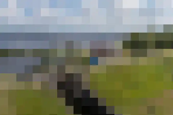 Oostmahorn 29 A Eanjum thumbnail 34