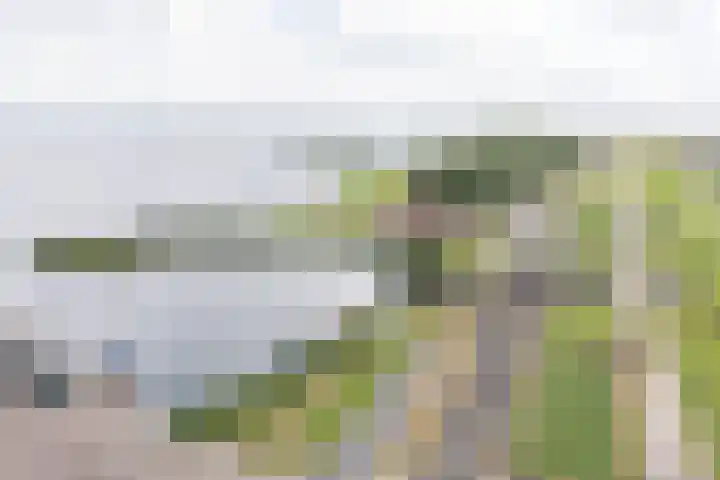 Oostmahorn 29 A Eanjum thumbnail 35