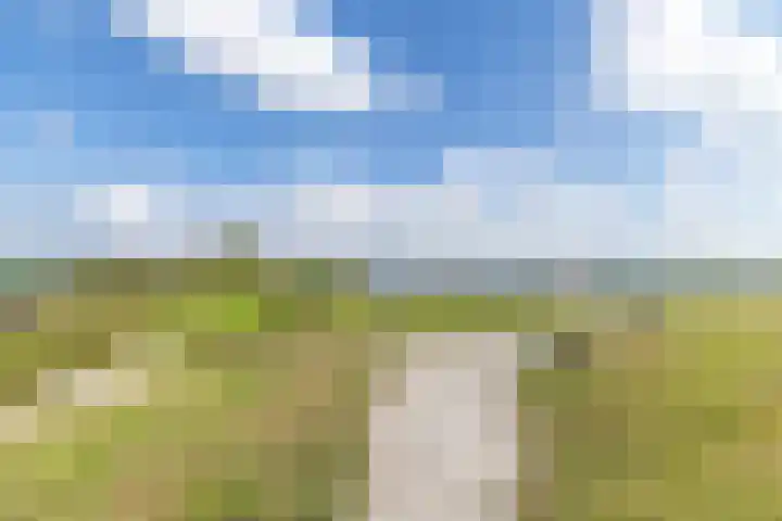 Oostmahorn 29 A Eanjum thumbnail 38