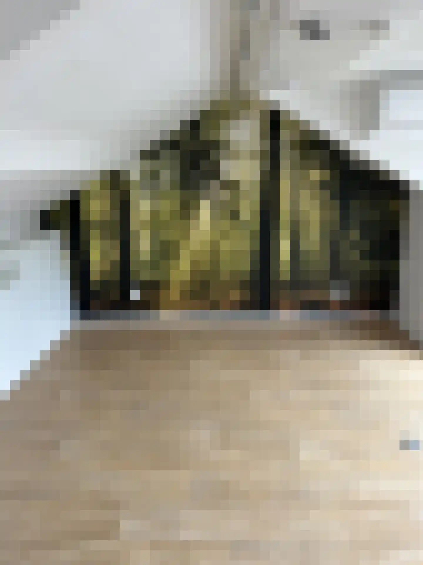 Oostmallestraat 13 Breda thumbnail 21