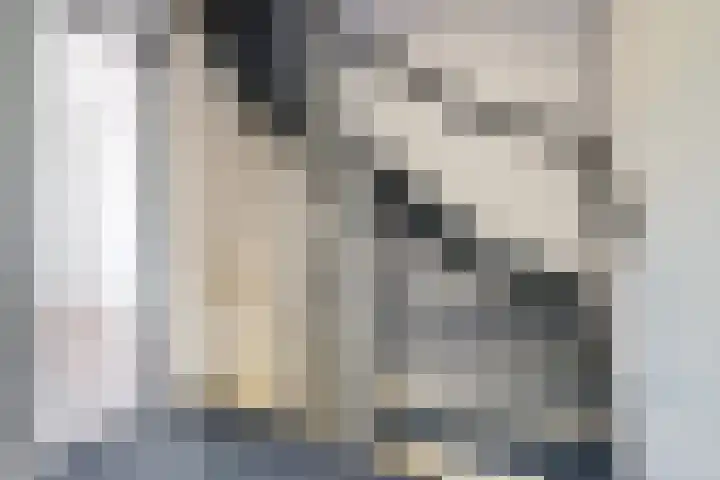 Oostmede 24 Middelburg thumbnail 12