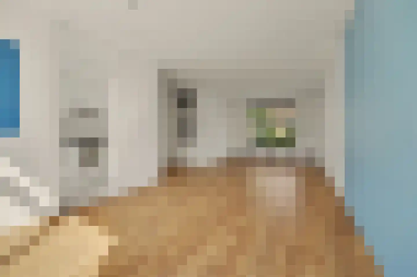 Oostmede 28 Middelburg thumbnail 14