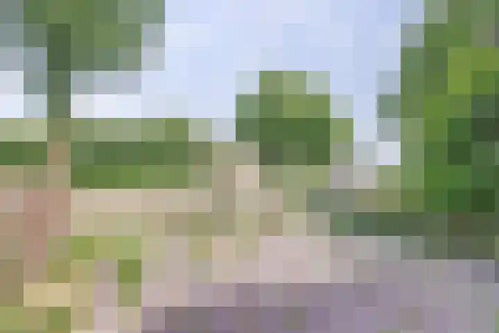 Oostmede 39 Middelburg thumbnail 18