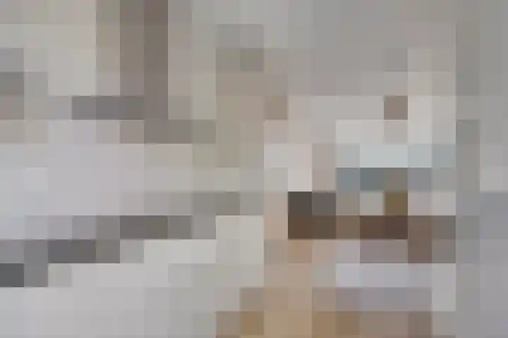 Oostmeerlaan 105 Berkel en Rodenrijs thumbnail 11