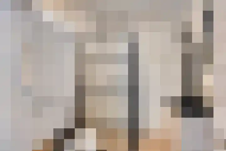 Oostmeerlaan 105 Berkel en Rodenrijs thumbnail 20