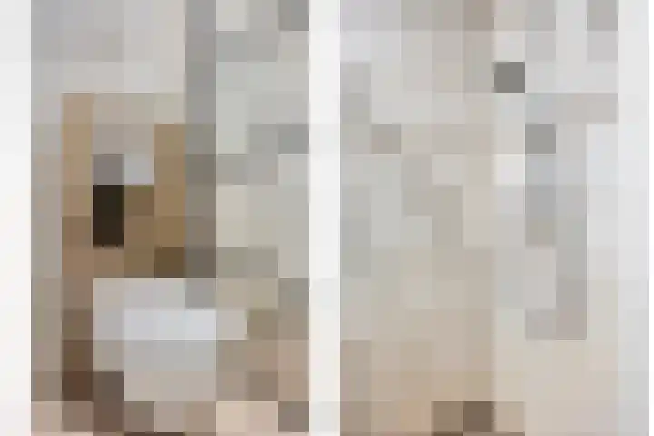 Oostmeerlaan 105 Berkel en Rodenrijs thumbnail 21