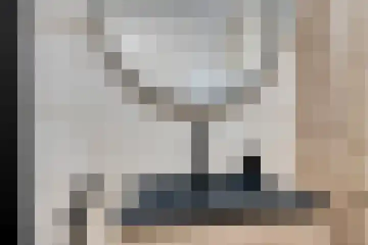 Oostmeerlaan 105 Berkel en Rodenrijs thumbnail 22