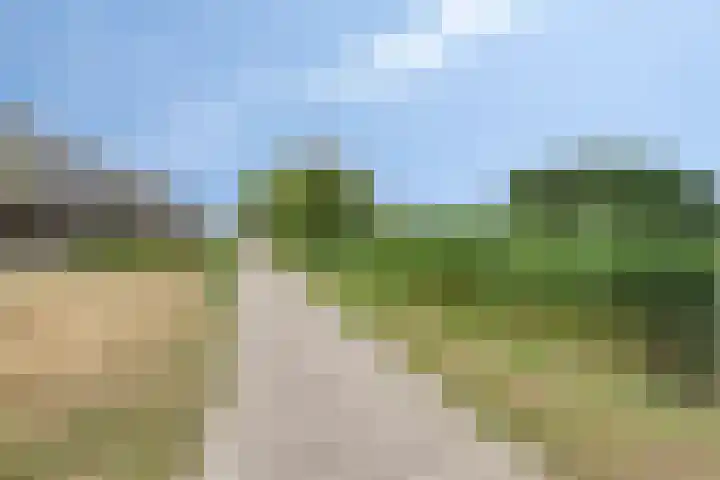 Oostmeerlaan 105 Berkel en Rodenrijs thumbnail 30