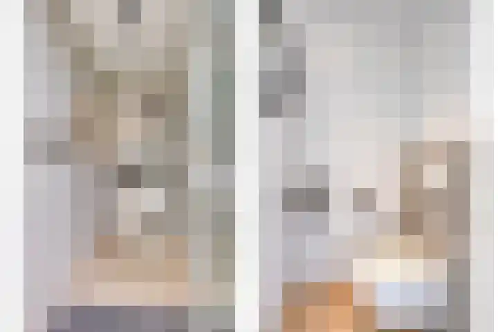 Oostmeerlaan 105 Berkel en Rodenrijs thumbnail 5
