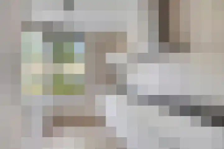 Oostmeerlaan 105 Berkel en Rodenrijs thumbnail 9