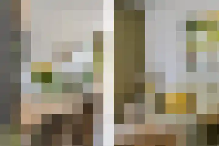 Oostmeerlaan 109 Berkel en Rodenrijs thumbnail 12