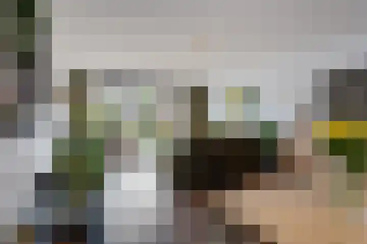Oostmeerlaan 109 Berkel en Rodenrijs thumbnail 13