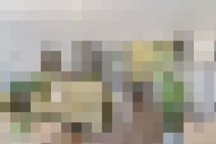 Oostmeerlaan 109 Berkel en Rodenrijs thumbnail 14
