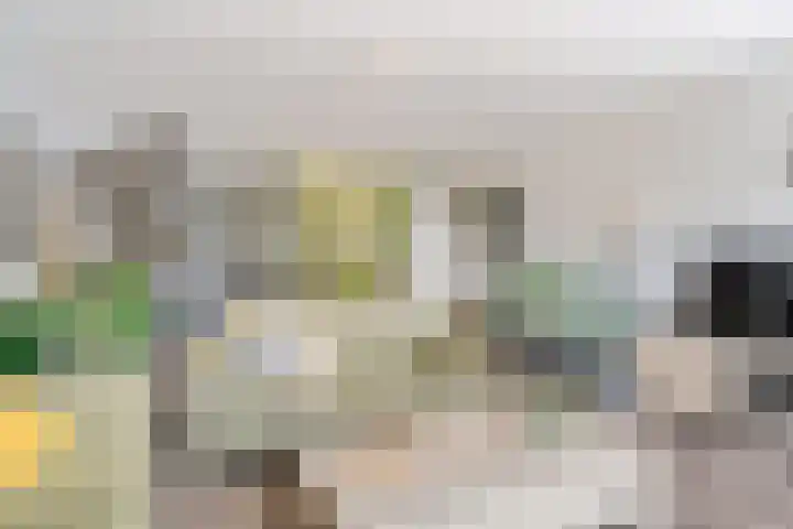 Oostmeerlaan 109 Berkel en Rodenrijs thumbnail 15