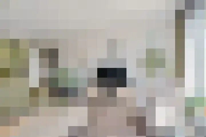 Oostmeerlaan 109 Berkel en Rodenrijs thumbnail 16