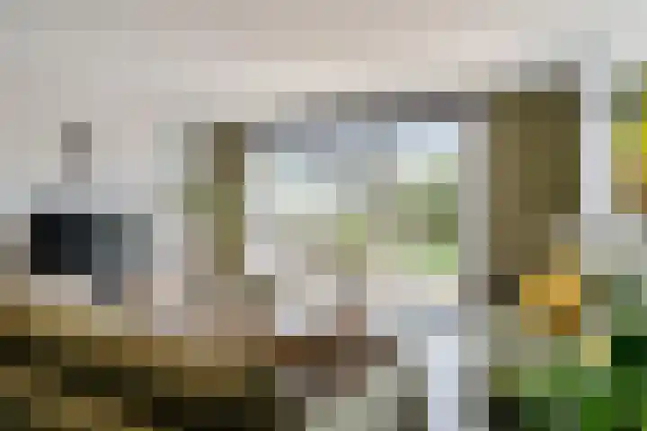 Oostmeerlaan 109 Berkel en Rodenrijs thumbnail 17