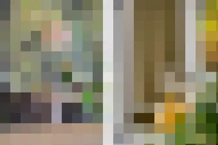 Oostmeerlaan 109 Berkel en Rodenrijs thumbnail 18