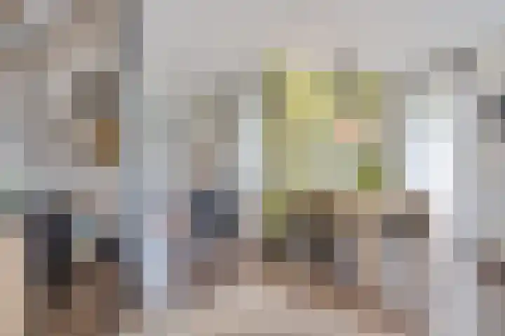 Oostmeerlaan 109 Berkel en Rodenrijs thumbnail 19
