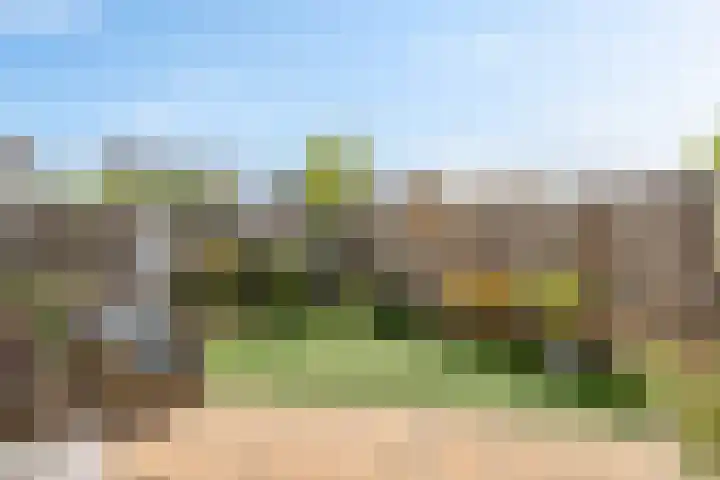 Oostmeerlaan 109 Berkel en Rodenrijs thumbnail 26