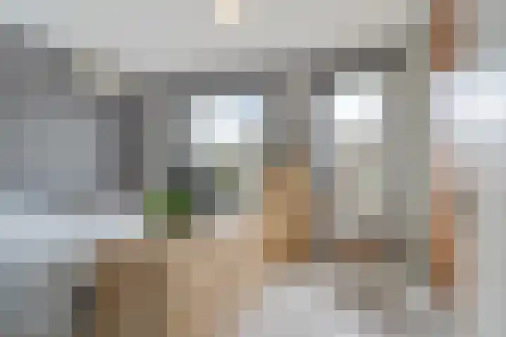 Oostmeerlaan 109 Berkel en Rodenrijs thumbnail 29