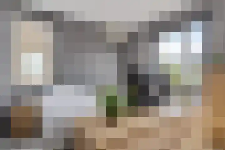 Oostmeerlaan 109 Berkel en Rodenrijs thumbnail 30