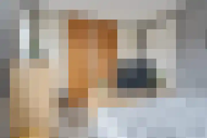Oostmeerlaan 109 Berkel en Rodenrijs thumbnail 31