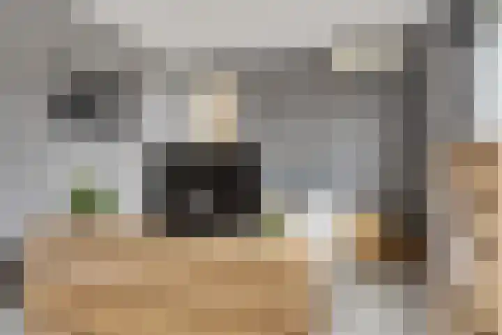 Oostmeerlaan 109 Berkel en Rodenrijs thumbnail 32