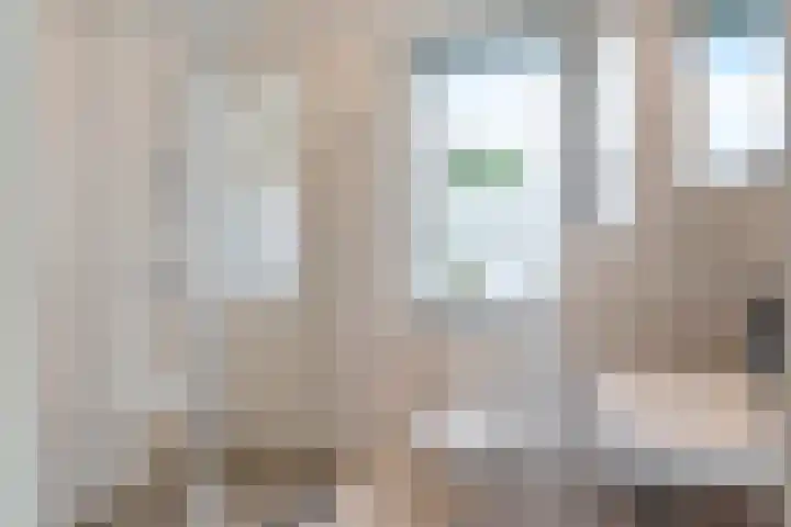 Oostmeerlaan 109 Berkel en Rodenrijs thumbnail 33