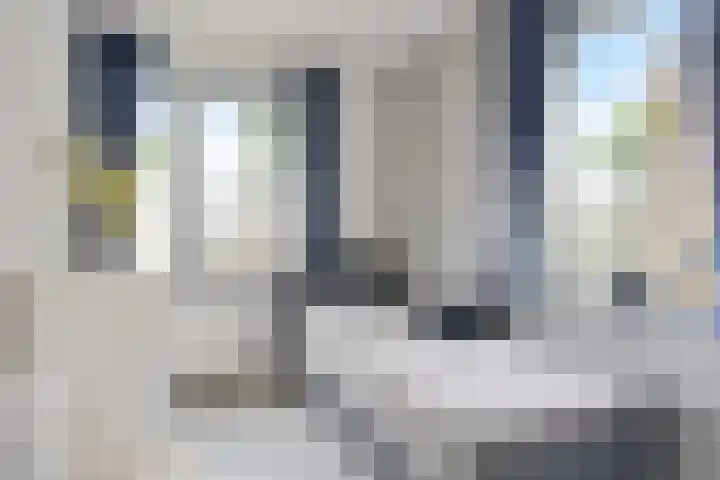 Oostmeerlaan 109 Berkel en Rodenrijs thumbnail 36
