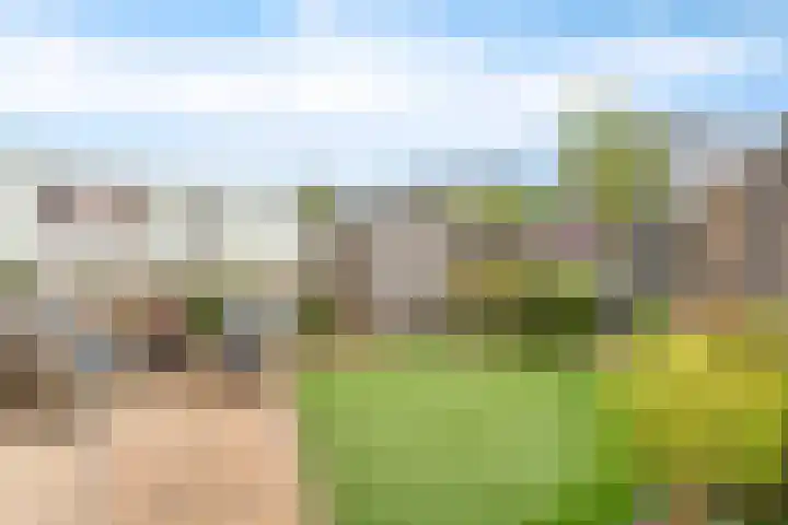 Oostmeerlaan 109 Berkel en Rodenrijs thumbnail 4