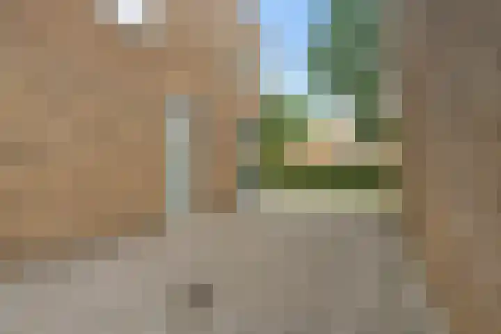 Oostmeerlaan 109 Berkel en Rodenrijs thumbnail 40