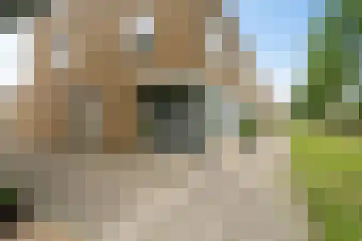 Oostmeerlaan 109 Berkel en Rodenrijs thumbnail 8