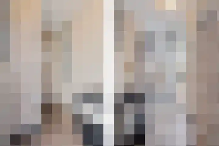 Oostmeerlaan 109 Berkel en Rodenrijs thumbnail 9