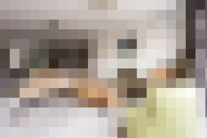 Oostmeerlaan 133 Berkel en Rodenrijs thumbnail 11
