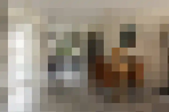 Oostmeerlaan 133 Berkel en Rodenrijs thumbnail 16