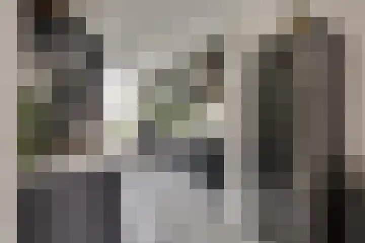 Oostmeerlaan 133 Berkel en Rodenrijs thumbnail 17